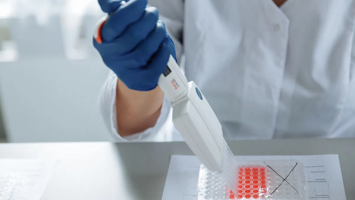 A scientist pipetting samples into a microplate at a laboratory bench